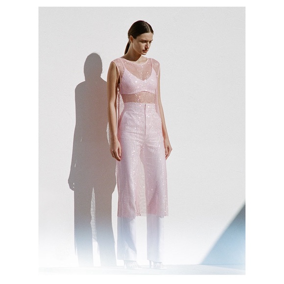 Scanlan Theodore Dresses & Skirts - NWT Scanlan Theodore DIAMANTE MESH DRESS PALE PINK